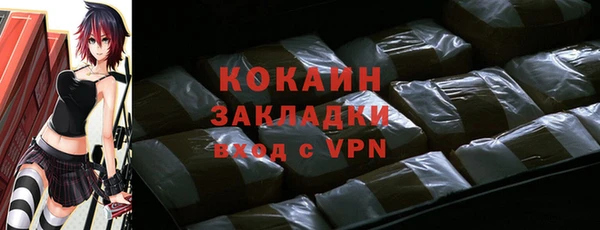 ешки Бородино