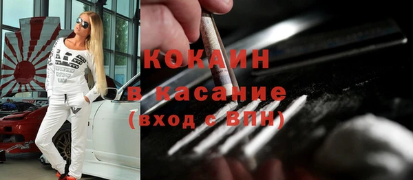 ешки Бородино