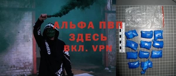 ешки Бородино