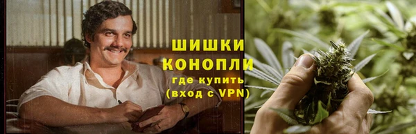 ешки Бородино