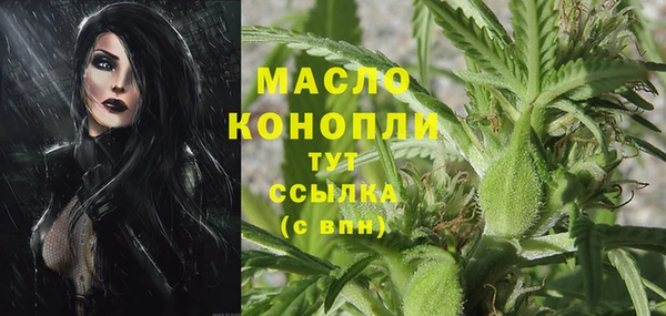 молекула духа Бугульма
