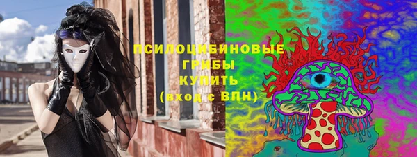молекула духа Бугульма