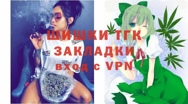 ешки Бородино