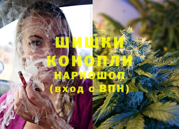 ешки Бородино