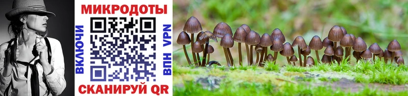 Галлюциногенные грибы MAGIC MUSHROOMS  купить наркотик  ссылка на мегу зеркало  Березники 
